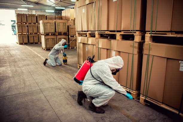 Best Termite Control Services  in , AL