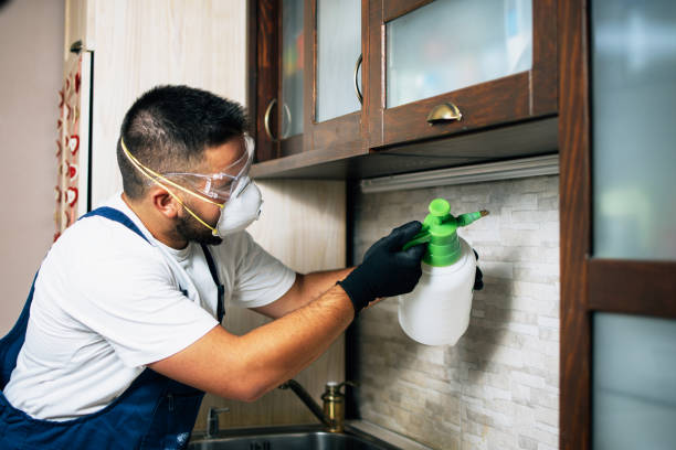 Best Wasp Removal Services  in , AL