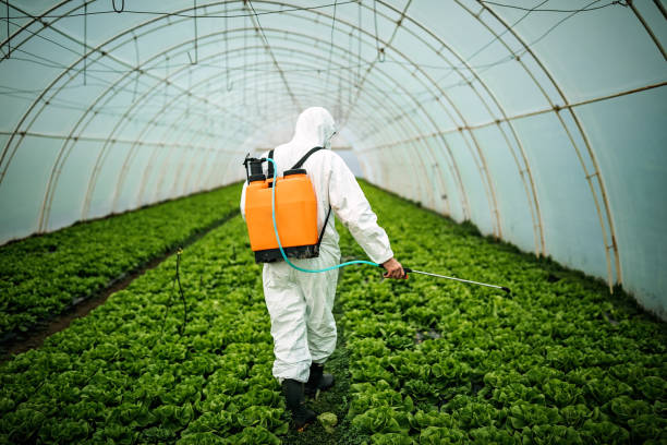 Best Affordable Pest Control Services  in , AL